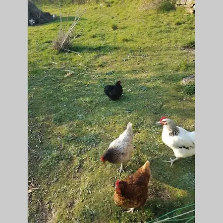 Sejour A La Campagne *