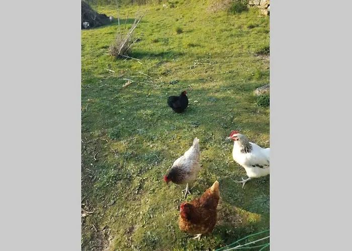 Sejour A La Campagne *